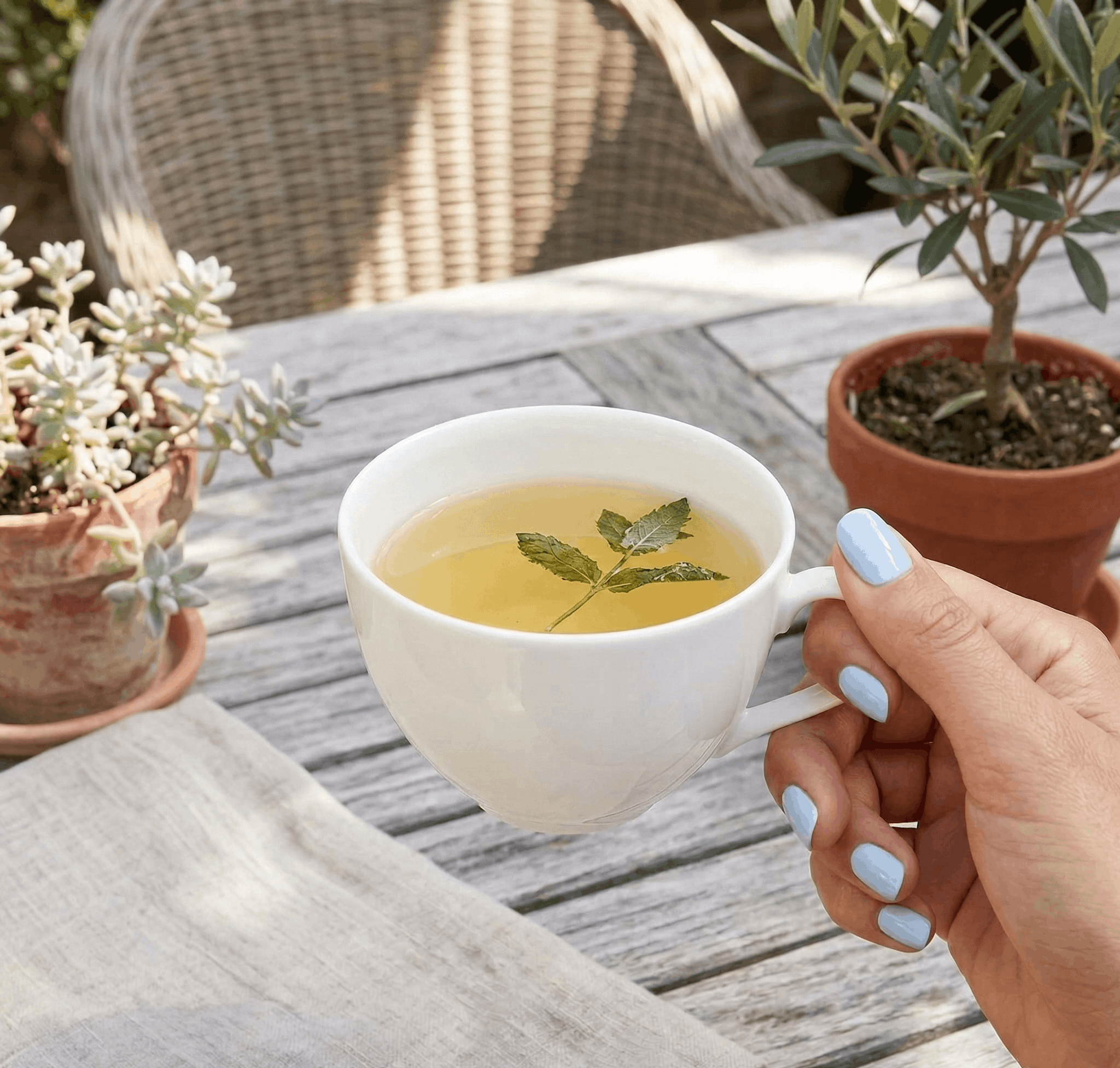 N°008 Sérénade de l'Eau