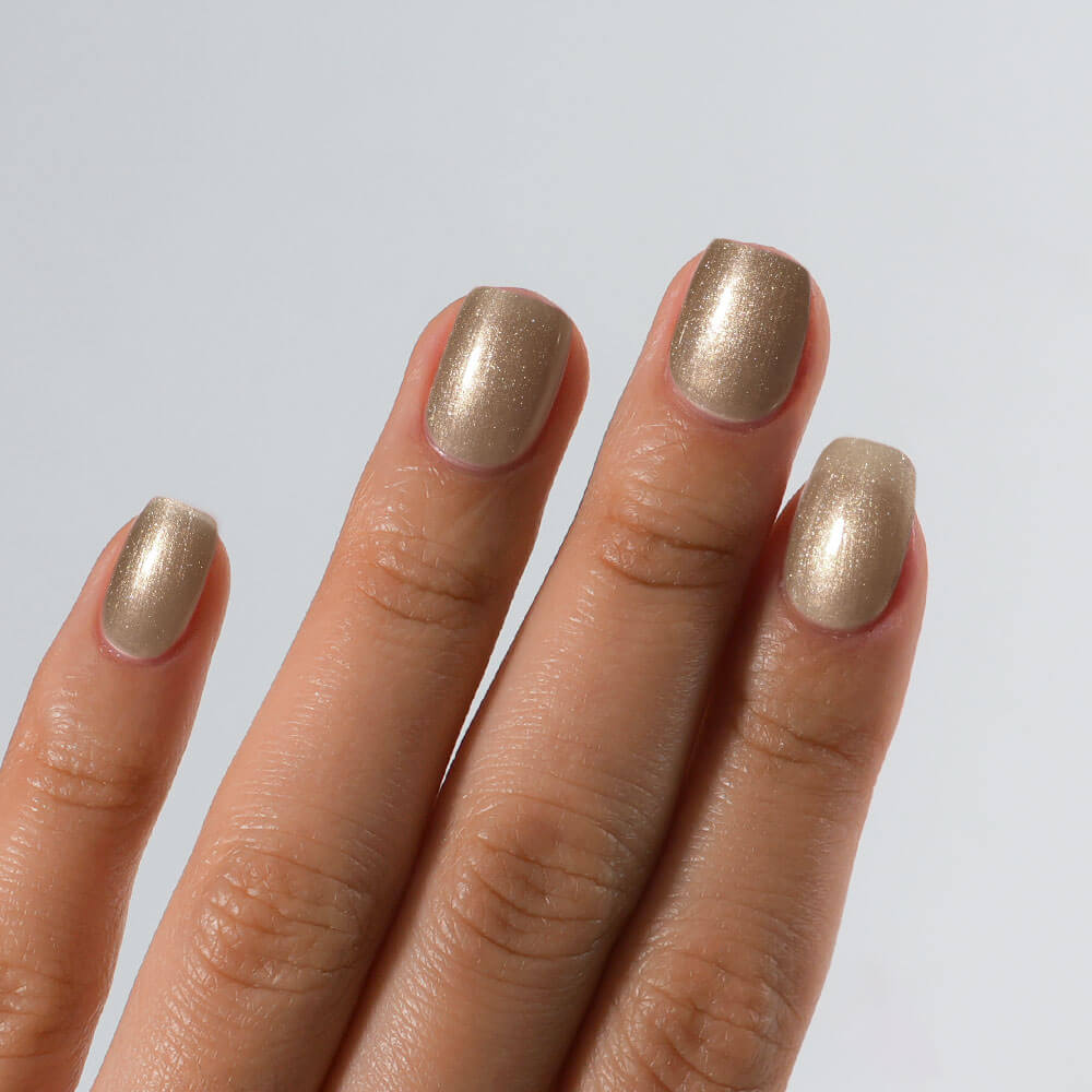 No. 149 Sunlit Safari