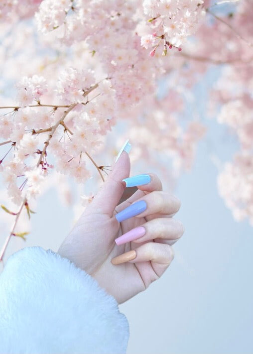 S&L gel nails against cherry blossom